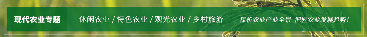 现代农业